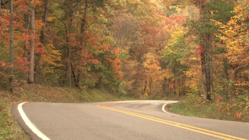 coutry-road-web-allegheny-forest-alliance