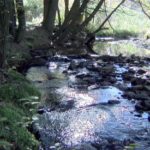 allegheny-forest-alliance-one_1_web