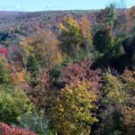 allegheny-forest-alliance-one_web