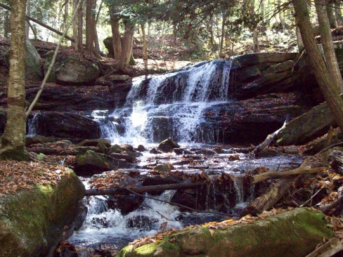 logan-falls-Allegheny-National-Forest