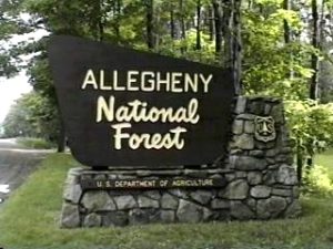 Allegheny National Forest sign