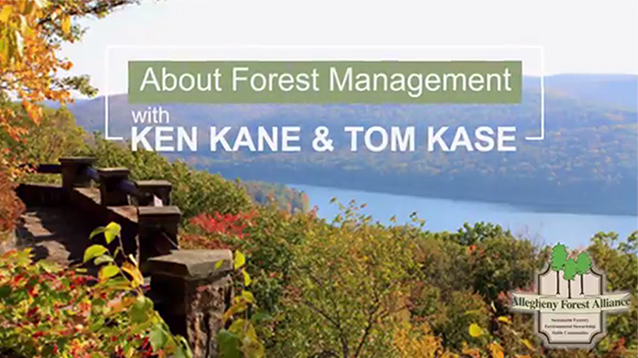 About Forest Management