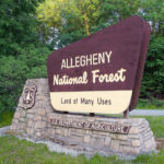 Allegheny National Forest sign