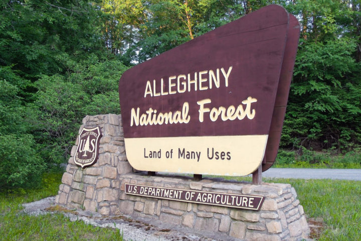 Allegheny National Forest sign