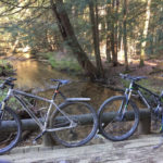 2018 entry: Joe Levis "Biking in the Forest"