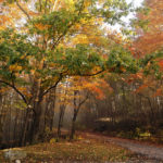 2018 entry: William Simbeck "Kinzua Dam Jakes Rocks Area #2"