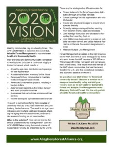 AFA 2020 Vision 1-page flyer