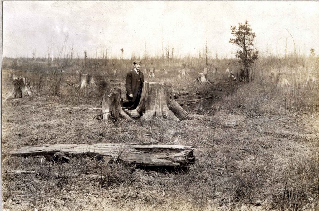 Pennsylvania clear cut