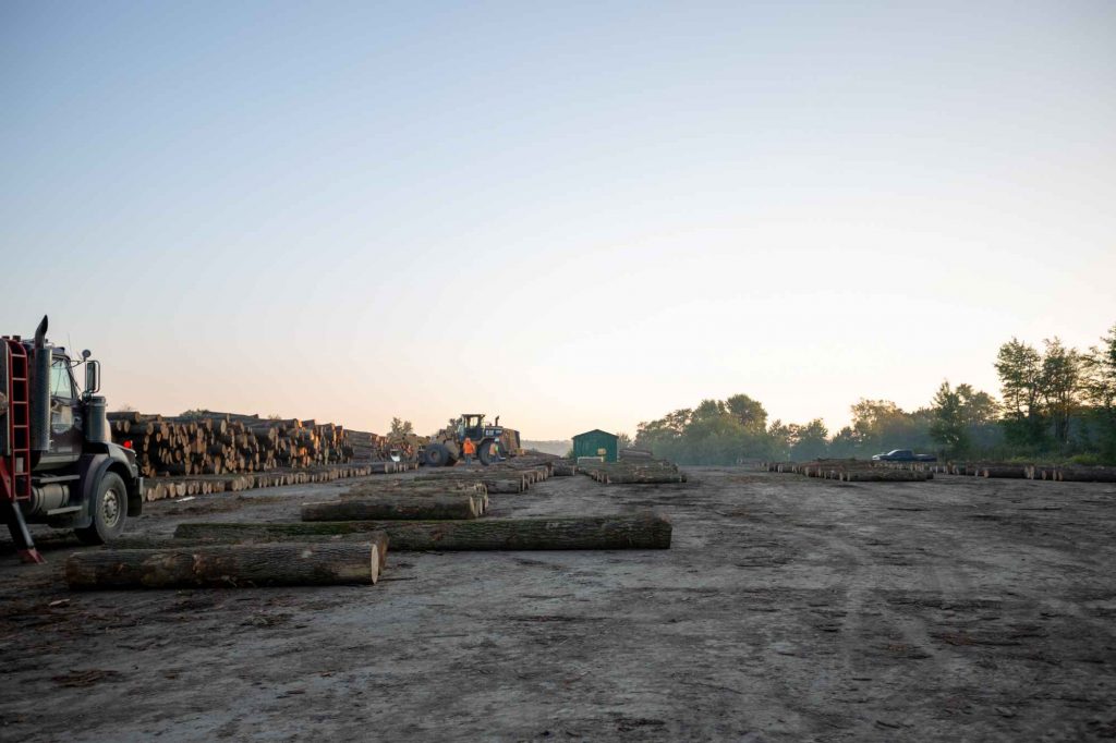 log yard nearly empty
